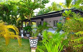 The White Bungalow
